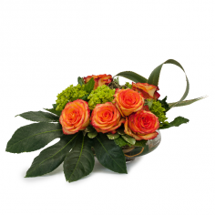 Category Image
