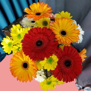 On the Bright Side Gerbera Bouquet