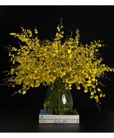 Oncidium Orchid Party  in Coconut Grove, FL | Luxury Flowers