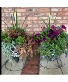 One Cone Shaped with Stand Patio Planter 