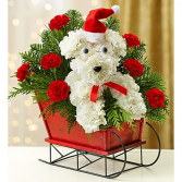 One Dog Open Sleigh Arrangement