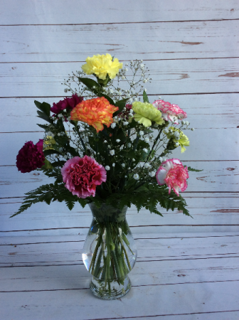 One Dozen Assorted Color Carnations 