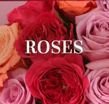 One Dozen Beautifully Wrapped Roses Presentation Style  in Etobicoke, ON | THE POTTY PLANTER FLORIST