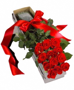 One Dozen Boxed Red Premium Roses  