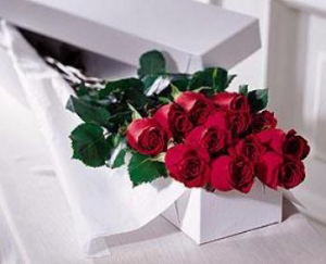 One Dozen Boxed Roses 