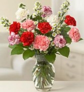 One Dozen Carnations Arranged in a Vase Carnations Are a Traditional Expression of Love And Devotion
