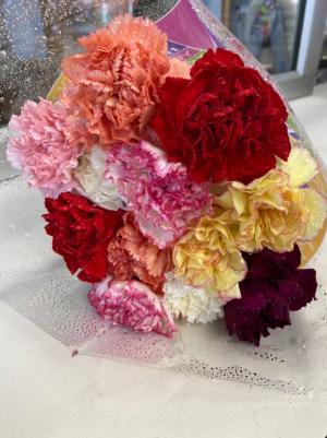  Carnations Extra Fancy   One Dozen Carnations  Mixed PLAIN ((PICK UP Only))