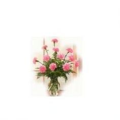 One Dozen Carnations Mixed Colors - Or You Choose