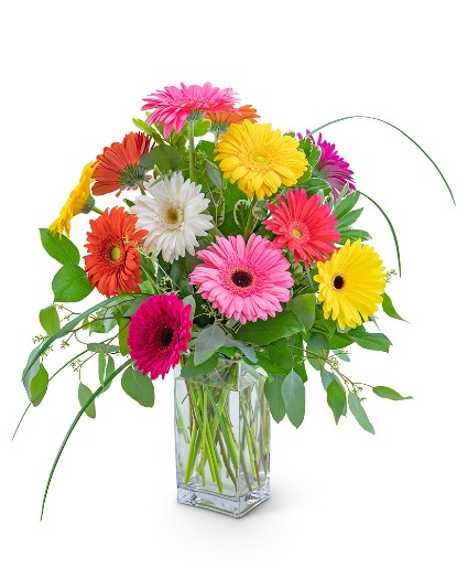 One Dozen Colorful Gerbera Flower Arrangement