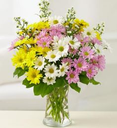 Daisies Arranged in a Vase  