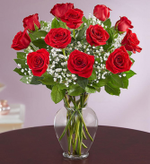 ONE DOZEN LONG STEM PREMIUM ROSES VASED  Finest long red roses 