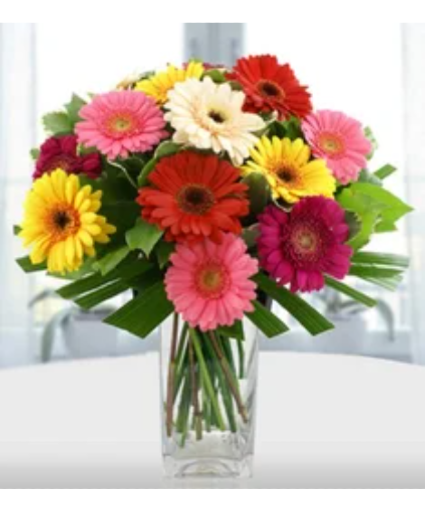 One Dozen Mixed Color Gerbera Daisies Vase arrangement in glass vase