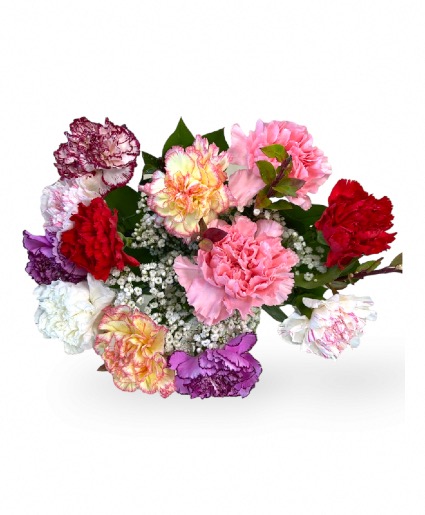 Carnations Bouquet   One Dozen  Extra Fancy Mixed Carnations   ((PICK UP ONLY))