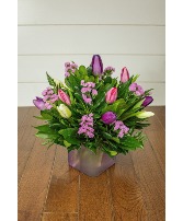 One Dozen Mixed Tulips 