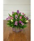 One Dozen Mixed Tulips 