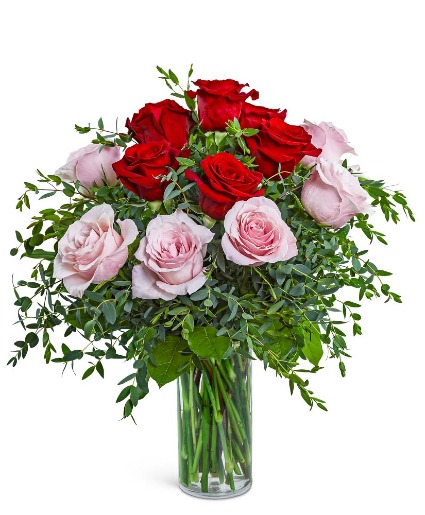 One Dozen Perfect Pink and Red Roses Flower Arrangement