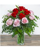 One Dozen Perfect Pink and Red Roses Valentines