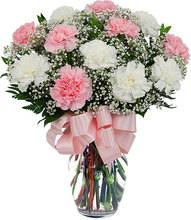 One Dozen Pink and White Carnations 