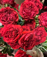 One Dozen Premium Garden Roses Extravagent Bouquets