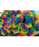One Dozen Rainbow Roses RAIN12