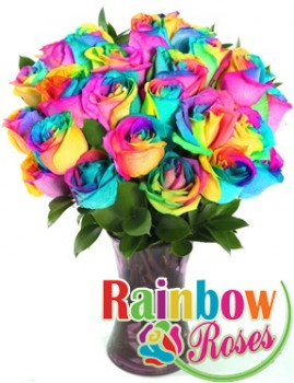 Valentine's Day 1 Dz RAINBOW ROSES! SOLD OUT!!!