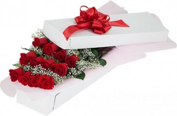One Dozen Red in Gift Box Roma florist & Gr