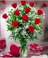 One Dozen Red  Love, passion.