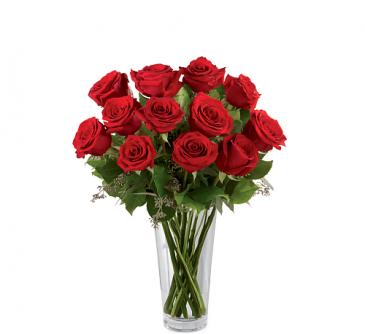 One Dozen Red Rose Arrangement in Winnipeg, MB | Ann's Flowers & Gifts