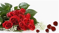 One Dozen Rose Bokay-Wrapped LET US NOW THE COLOR