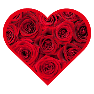 One Dozen Red Rose Bouquet 