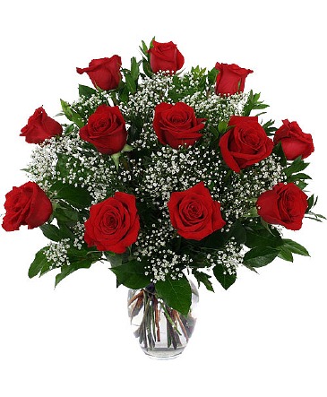  One Dozen Red Roses Arrangement in Kissimmee, FL | Amor Florist & Gift Baskets