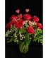 One Dozen Red Roses Arrangement