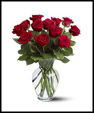 One Dozen Roses Arranged LET US KNOW WHAT COLOR!