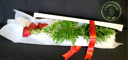One Dozen Red Roses With Filler & Water Tubes Boxed