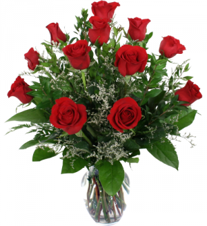 One Dozen Red Roses  Vase Arrangement 