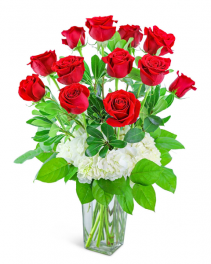 One Dozen Red Roses with Hydrangea Flower Arrangement