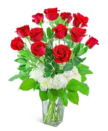 One Dozen Red Roses with Hydrangea Flower Arrangement