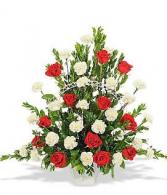One Dozen Red Roses With White Carnations 