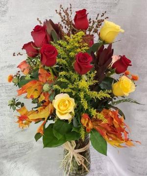 One Dozen Roses - For Fall in Croton On Hudson, NY | Cooke's Little Shoppe Of Flowers One Dozen Roses - For Fall in Croton On Hudson, NY | Cooke's Little Shoppe Of Flowers