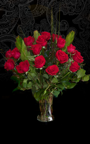 One Dozen Roses Roses in Chattanooga, TN | Chantilly Lace Floral Boutique LLC One Dozen Roses Roses in Chattanooga, TN | Chantilly Lace Floral Boutique LLC