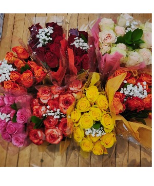 One dozen Roses wrapped bouquet