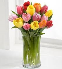One Dozen Tulips  Vase