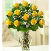 One Dozen Yellow Roses 