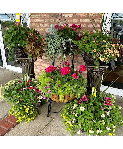 ONE Hanging Basket Patio Planters