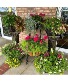 ONE Hanging Basket Patio Planters 