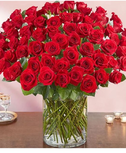 One hundred roses of love 