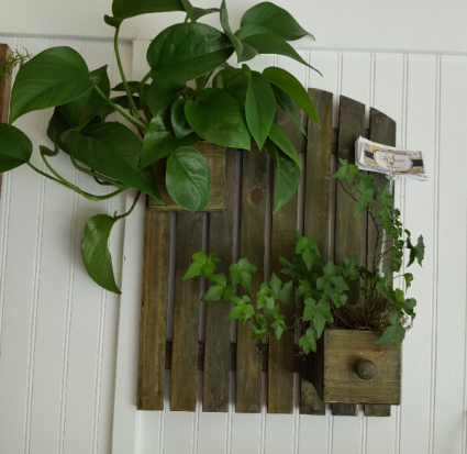 one of a kind Wall hanging Planter with an indoor plant