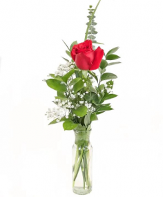 Category Image