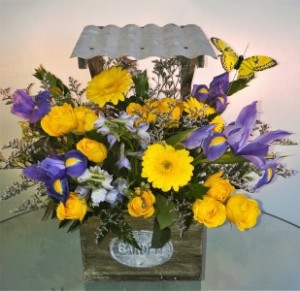 One Sunny Day in Winter Springs, FL | WINTER SPRINGS FLORIST AND GIFTS One Sunny Day in Winter Springs, FL | WINTER SPRINGS FLORIST AND GIFTS