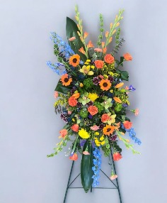Category Image
